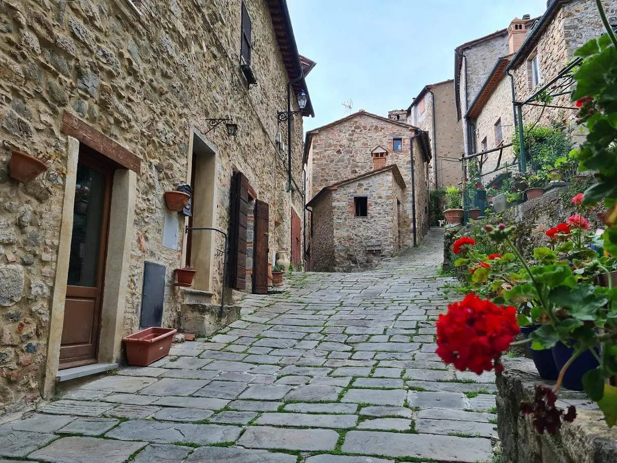 Casa vacanze La Casetta Nel Borgo Castelnuovo di Val di Cecina Italia